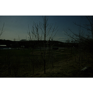 Field at dusk