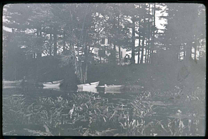 Lilly Pond & Boats