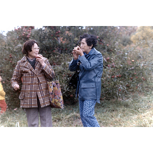 People eating apples during a Chinese Progressive Association trip