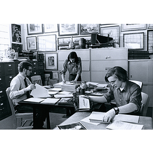 Co-op students look through stacks of photographs