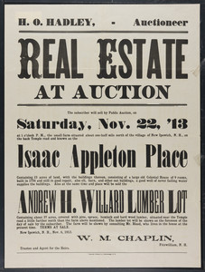Real estate auction