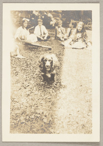 Untitled: a group of children with a dog, presumably at the Lyman Estate in Waltham, Mass.