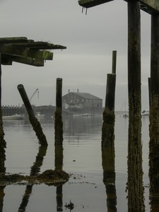 Fog and pilings in the water by fisherman's wharf, Provincetown