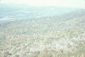 Aerial oblique view looking N along Plot Line 10 on 14 October 1971.