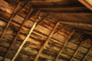 Interior of Moon Barn roof in the Moon Lot / Primmer Farm.