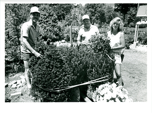 Employees at Stott's Nursery in Chelmsford