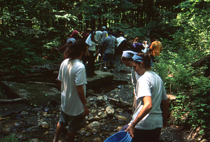 Weir Day 2001. Digging out the weir Main Stem Birch Brook.