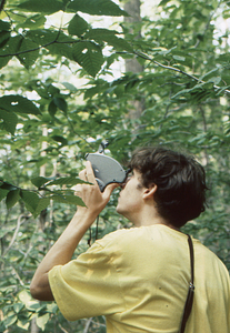Close-up of Jonah C. Wittkamper, Class of 1997, measuring tree height of sample tree in Permanent Plot 1121 with a Haga Altimeter.