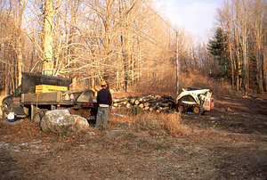 Clearing of old USFS poplar plantation to create old field research site. 3. Close-up of moving logs to Northwest Hill Road.