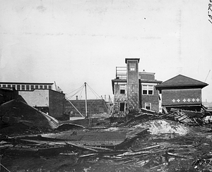 Molasses flood, destruction