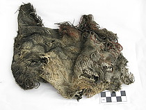 Cloth Fragment