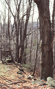 East boundary of the Moon Lot - Primmer Farm.