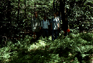 Hayscented Fern Study. 19. Philip Bartels, Paola Peacock, Jessica Tierney, and Andrew Werbrock in Permanent plot near Taconic Range ridge.