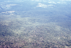 Aerial oblique view of Middle Branch and North Branch of Birch Brook on 2 Sept 1971.