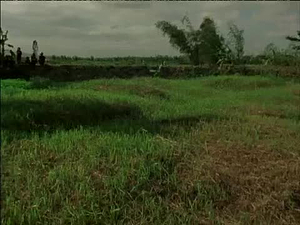 Vietnam: A Television History; Lighting Incense in a Field