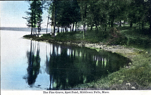 The Pine Grove, Spot Pond, Middlesex Fells, Mass.: Stoneham, Mass.