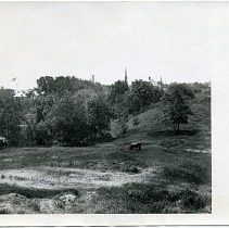 Hillside with cow