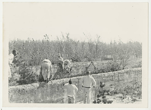 Military Training at Springfield College during World War II (ca. 1943)