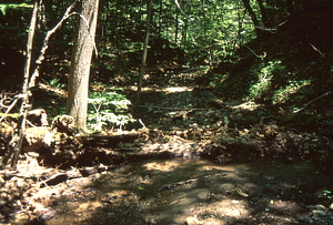 Weir Day 2001. Main Stem Birch Brook at ponding basin prior to annual excavation.