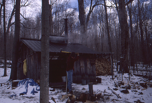 Drew Jones splitting wood at the Campbell Maple Sugar House in the sugarbush.