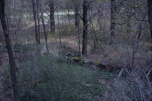 Mansion site toward Northwest Hill Rd.