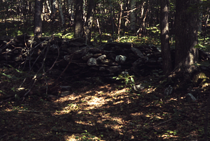 Northern boundary stone wall of Moon Lot stone near northwest corner.