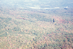 Aerial oblique view looking N along Plot Line 23 on 14 October 1971.