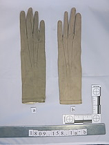 Woman's Suede Gloves