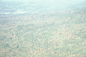 Aerial oblique view looking N along Plot Line 20 on 14 October 1971.