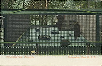 Norumbega Park, Menagerie Auburndale, Mass., U.S.A.