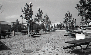 East Boston street view