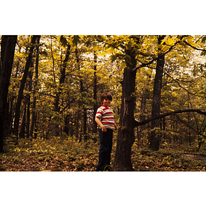 Boy standing next to a tree in the woods