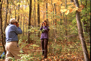 Aya Reiss (Class of 2000) in Permanent Plot 1231 establishing X- Y-coordinates of canopy trees being photographed by William T. Fox. Ground truthing aerial photographs project - Plot 1231.