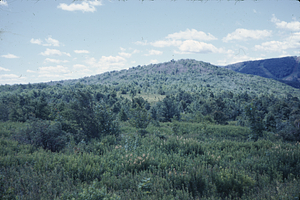 White Rocks from Jim Smith Hill.