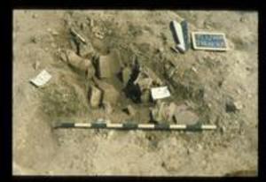 Trench 25, 1980