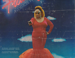 Original poster of 'Pink Flamingos' film (3 of 3)