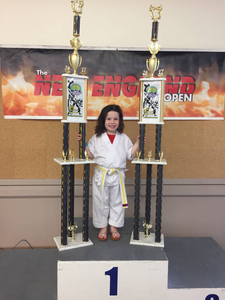 Emma's karate trophies