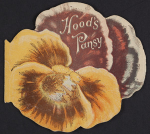 Hood's pansy, published by C.I. Hood & Co., Lowell, Mass., undated