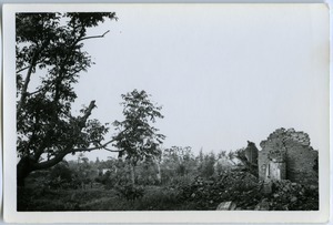 Ruins and revegetation, Thái Bình City