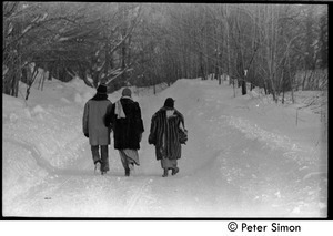 Elliot Blinder, Catherine Blinder, and Marcia Braun (l. to r.) walking down a snowy road, Tree Frog Farm commune