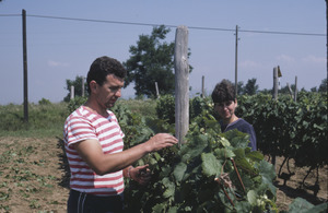 Husband and wife in Orašac vineyard