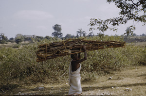 Woman carrying firewood near Ranchi