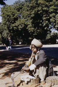 Young snake charmer in Delhi