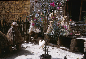Beehives and oleander in Labuništa village