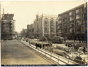 Section 4, Boylston Street by Natural History Museum, looking easterly