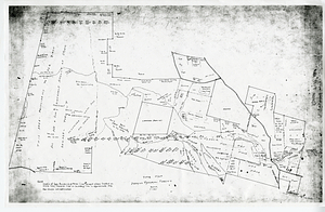 Draft Type Map of Hopkins Forest