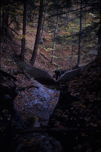 Installation of blade on South Branch Birch Brook v-notch weir. #2.