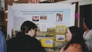 Importance of the Salt Marsh as a Nursery for Diamondback Turtles: Poster Presentation.