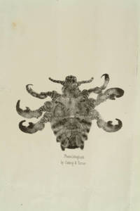 [Photolithograph from a photomicrograph in The photographic and fine art journal, v. 5, no. 11, Nov., 1858]