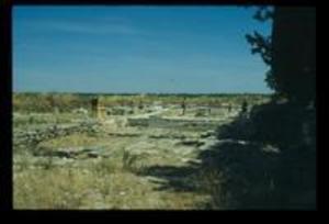 View of Site, 1980